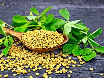 fenugreek